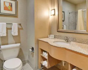 Comfort Suites Lindale - Room