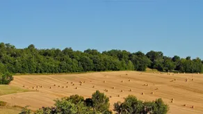 Domaine de Perches - Udsigt fra værelset