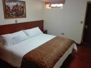 Hotel Newen - Room