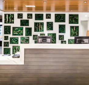 Hotel Indigo Rochester - Mayo Clinic Area by IHG - Réception