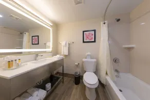 Holiday Inn Brookfield - Milwaukee by IHG - Salle de bain