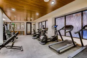 Vail Lion 4 Bedroom - Fitness facility