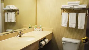 Magnuson Hotel Commerce - Badezimmer