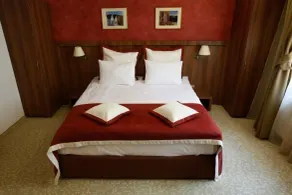 Hotel Gott - Room