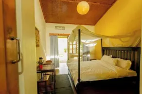 Ruwenzori View Guest House - Room