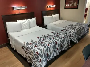 Red Roof Inn Santa Ana - Zimmer