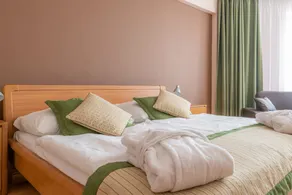 Wellness Hotel Patince - Room