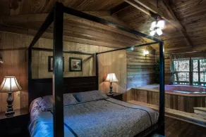 Forrest Hills Mountain Resort - Chambre