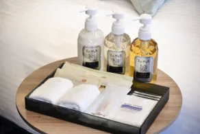 Hotel JAL City Miyazaki - Salle de bain