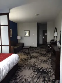 Comfort Suites Greenville - Rom