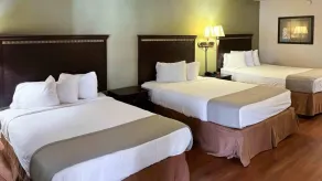 Motel 6 Abbeville, AL - Zimmer