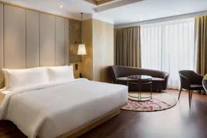 Radisson Bhopal - Room