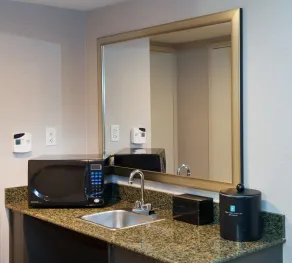 Embassy Suites by Hilton Detroit Livonia Novi - Chambre