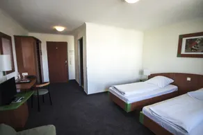EuroHotel Günzburg - Room