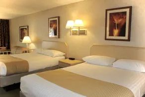 Impala Island Inn - Chambre