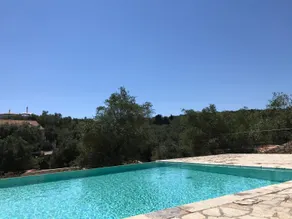 Paxoi Resort - Adult-Only - Basseng
