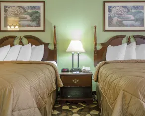 Quality Inn Broken Arrow - Tulsa - Chambre