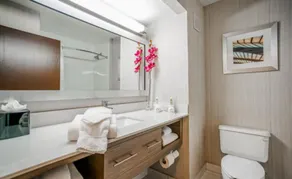 Sleep Inn & Suites Memphis Southeast - Salle de bain