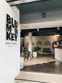 Blu Monkey Hotel Surat Thani - Réception