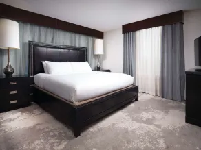 DoubleTree by Hilton Hotel Chattanooga Downtown - Room