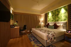 Regenta Resort Belagavi - Room