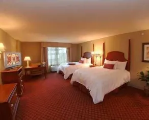 Hampton Inn & Suites Greenville - Chambre