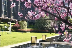 Sheraton Shanghai Chongming Hotel - View from room