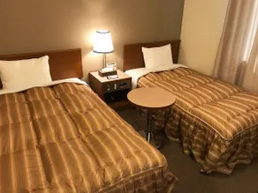 Ryugasaki Plaza Hotel Shinkan - Camera
