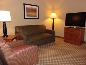 Holiday Inn Express Hotel & Suites Chicago West Roselle by IHG - Habitación