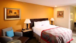 Ramada by Wyndham Culver City - Camera