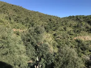 Finca Bell-Lloc - Vista dalla camera