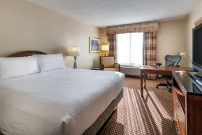 Hilton Garden Inn Denver Airport - Chambre