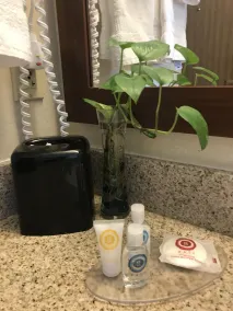 Comfort Inn Ellsworth - Bar Harbor - Salle de bain