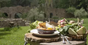 La Cerreta - Terme di Sassetta - Restaurante