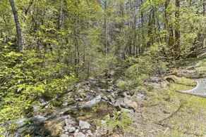 Vibrant Weaverville Escape w/ Deck & Creek! - Interiør
