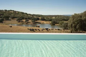 Hábitat Cigüeña Negra - Pool