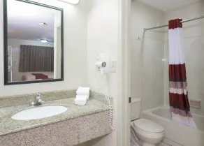 Red Roof Inn Columbus Northeast Westerville - Bathroom