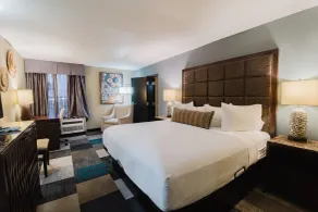 Wyndham Garden Texarkana - Chambre
