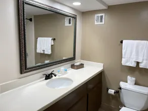 THE PARAGON of Golden Isles - Salle de bain