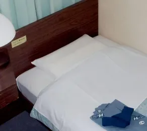 Business Hotel Heisei - Camera