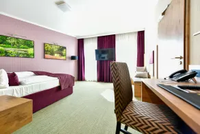 Best Western Plus Parkhotel & Spa Cottbus - Chambre