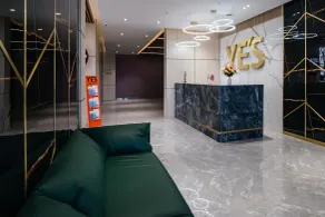 YE's apart - Reception