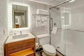 Holiday Inn East Windsor - Cranbury Area - Badrum