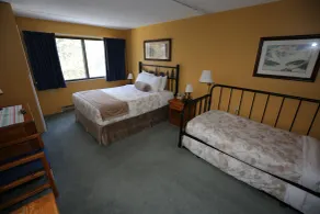 Black Bear Lodge - Habitación