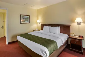 Quality Inn & Suites El Cajon San Diego East - Chambre