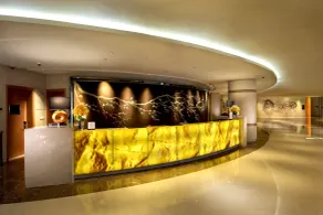 DoubleTree by Hilton Hangzhou East - Réception