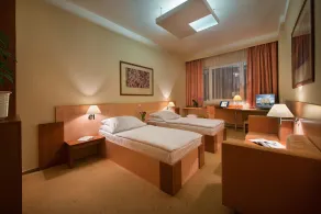 Hotel Grand Litava Beroun - Habitación