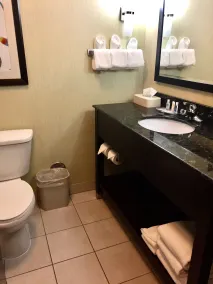 Comfort Suites Knoxville West - Farragut - Salle de bain