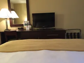 Travelodge by Wyndham Presidio San Francisco - Chambre
