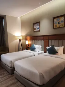Sayaji Morbi - Habitación
